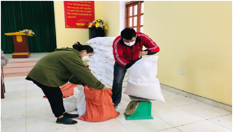 Tổ chức phát gạo cứu đói cho người dấn tại xã Hoàng Việt